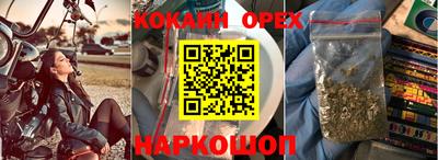 твердый Кингисепп