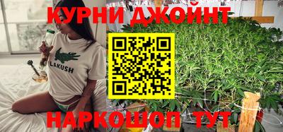 твердый Кингисепп