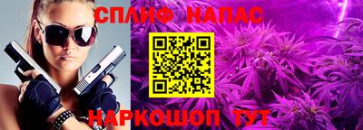 твердый Кингисепп