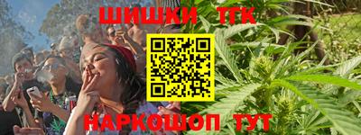 твердый Кингисепп