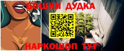 твердый Кингисепп