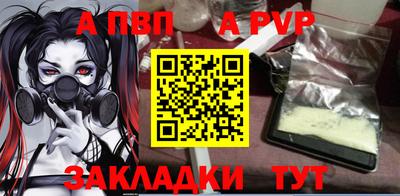 твердый Кингисепп