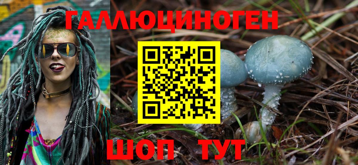 Мончегорск  Псилоцибиновые грибы Cubensis  Вход с VPN 
