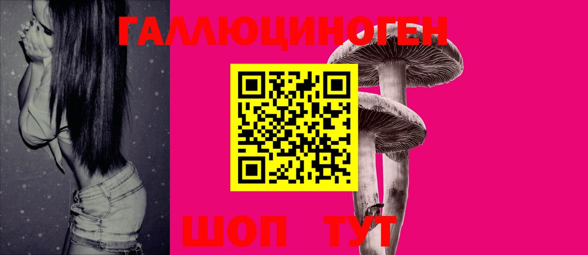 Псилоцибиновые грибы Psilocybine cubensis Мончегорск